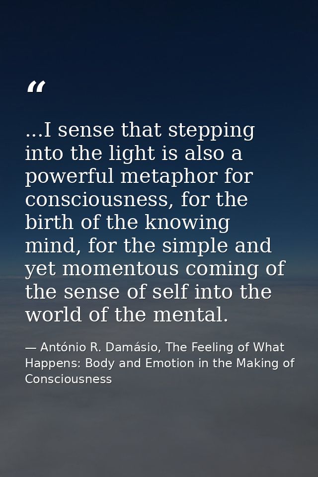 ...I sense that stepping into the light is also a powerful metaphor for consciousness, for the birth of the knowing mind — António R. Damásio, The Feeling of What Happens: Body and Emotion in the Making of Consciousness