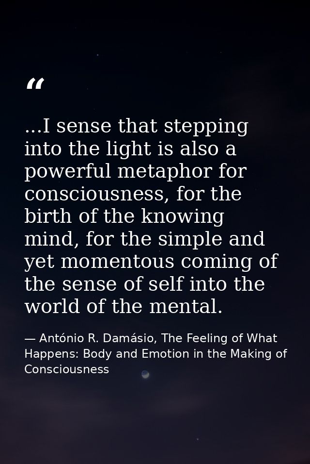 ...I sense that stepping into the light is also a powerful metaphor for consciousness, for the birth of the knowing mind — António R. Damásio, The Feeling of What Happens: Body and Emotion in the Making of Consciousness