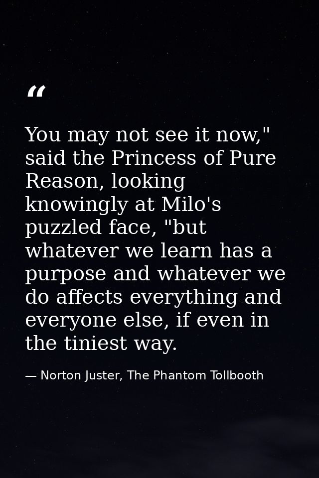 You may not see it now," said the Princess of Pure Reason, looking knowingly at Milo's puzzled face, "but whatever we le — Norton Juster, The Phantom Tollbooth