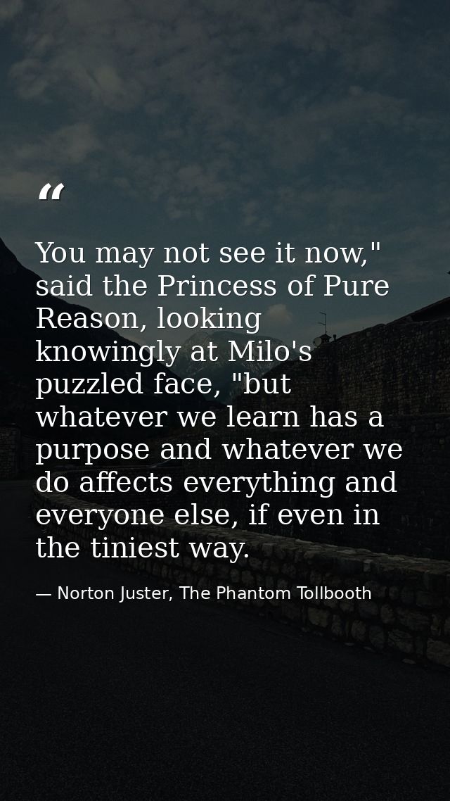 You may not see it now," said the Princess of Pure Reason, looking knowingly at Milo's puzzled face, "but whatever we le — Norton Juster, The Phantom Tollbooth