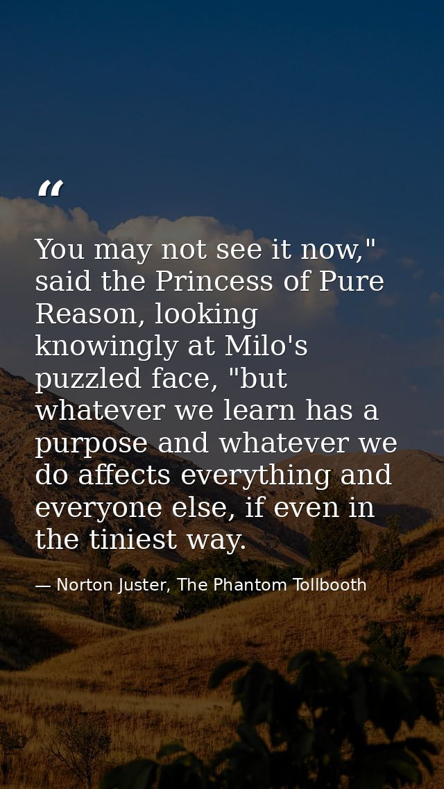 You may not see it now," said the Princess of Pure Reason, looking knowingly at Milo's puzzled face, "but whatever we le — Norton Juster, The Phantom Tollbooth