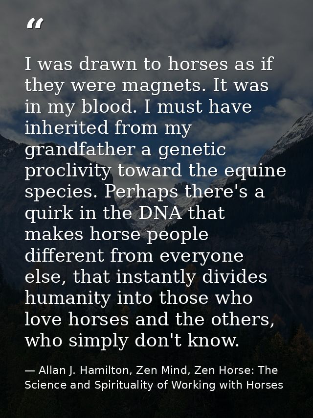 I was drawn to horses as if they were magnets. It was in my blood. I must have inherited from my grandfather a genetic p — Allan J. Hamilton, Zen Mind, Zen Horse: The Science and Spirituality of Working with Horses