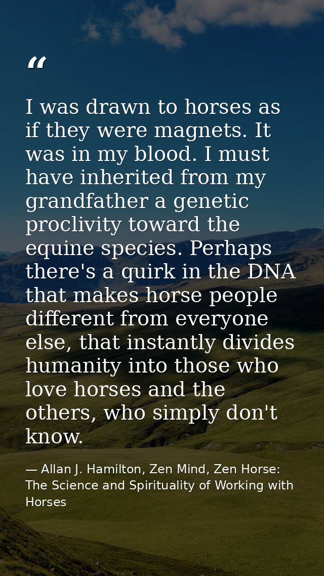 I was drawn to horses as if they were magnets. It was in my blood. I must have inherited from my grandfather a genetic p — Allan J. Hamilton, Zen Mind, Zen Horse: The Science and Spirituality of Working with Horses