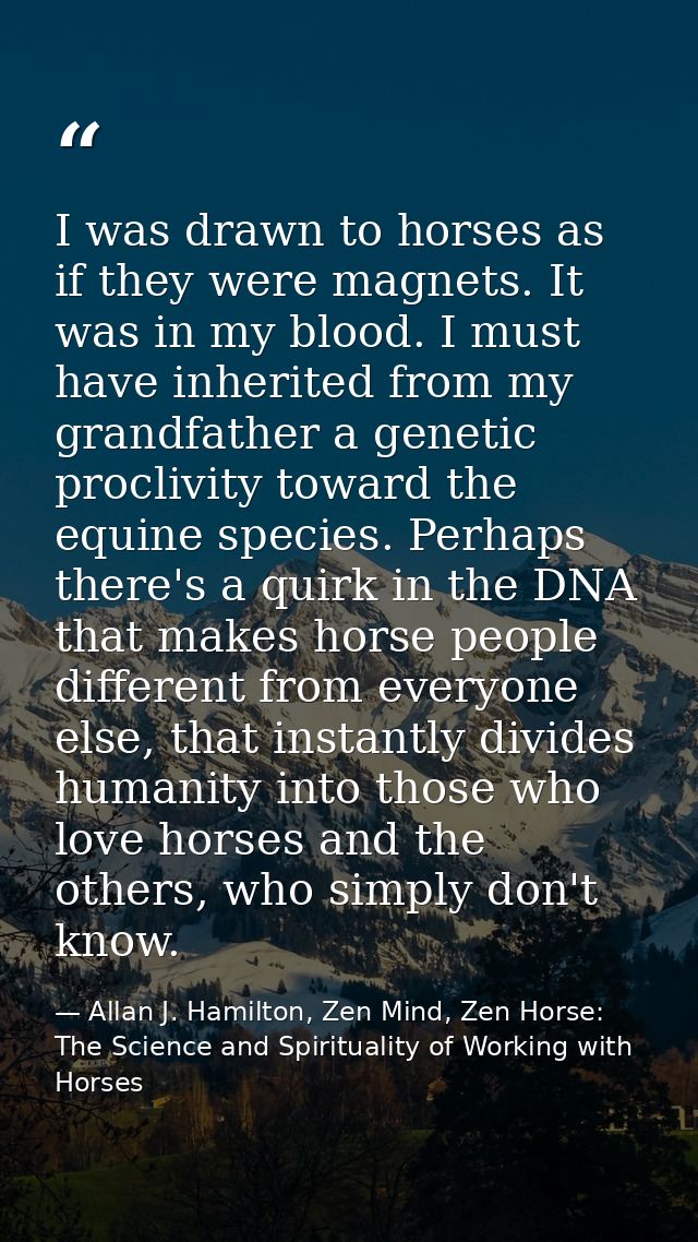 I was drawn to horses as if they were magnets. It was in my blood. I must have inherited from my grandfather a genetic p — Allan J. Hamilton, Zen Mind, Zen Horse: The Science and Spirituality of Working with Horses