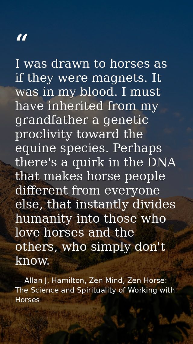 I was drawn to horses as if they were magnets. It was in my blood. I must have inherited from my grandfather a genetic p — Allan J. Hamilton, Zen Mind, Zen Horse: The Science and Spirituality of Working with Horses