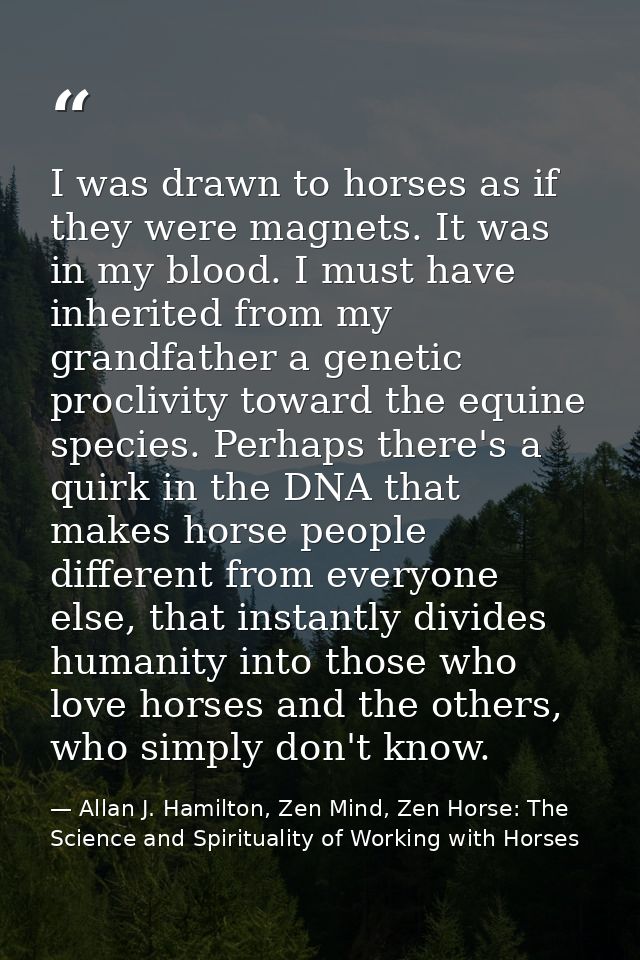 I was drawn to horses as if they were magnets. It was in my blood. I must have inherited from my grandfather a genetic p — Allan J. Hamilton, Zen Mind, Zen Horse: The Science and Spirituality of Working with Horses