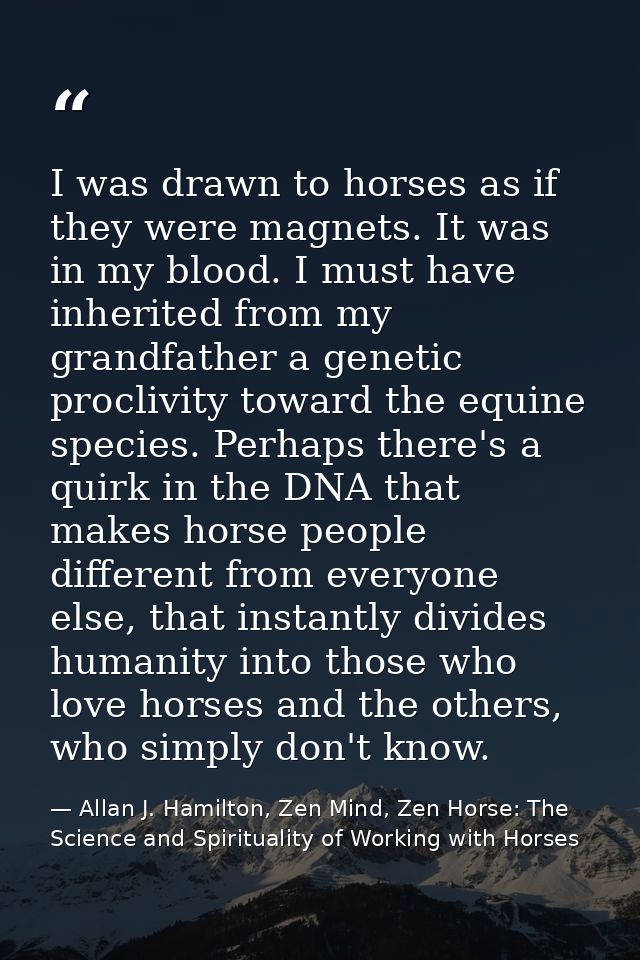I was drawn to horses as if they were magnets. It was in my blood. I must have inherited from my grandfather a genetic p — Allan J. Hamilton, Zen Mind, Zen Horse: The Science and Spirituality of Working with Horses