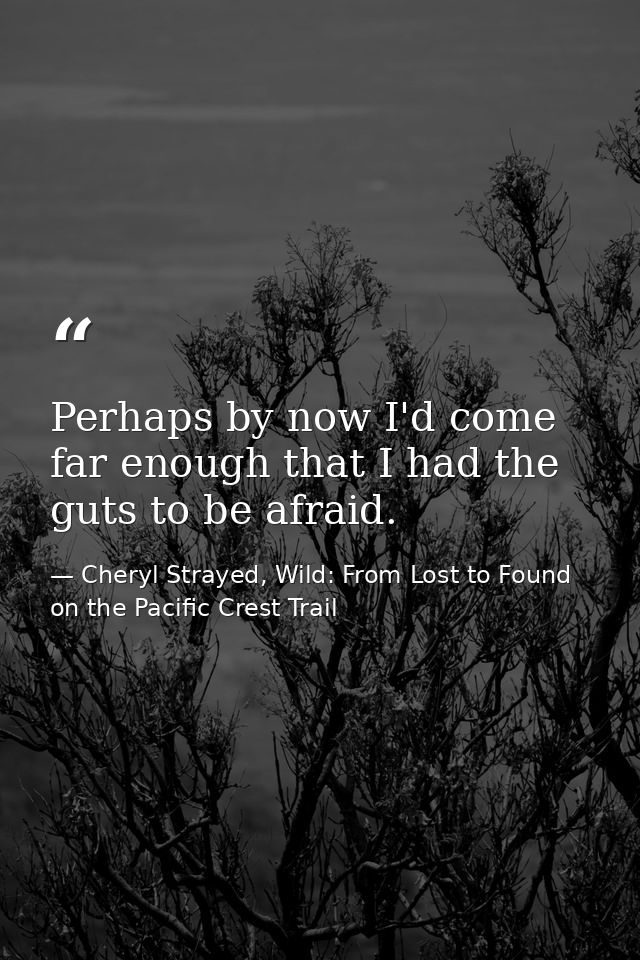 Perhaps by now I'd come far enough that I had the guts to be afraid. — Cheryl Strayed, Wild: From Lost to Found on the Pacific Crest Trail