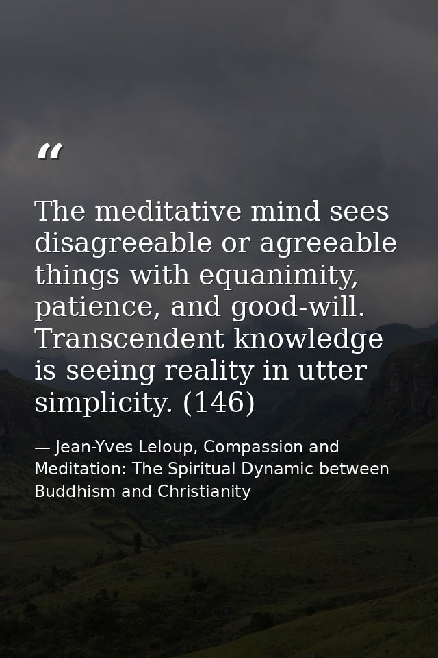 The meditative mind sees disagreeable or agreeable things with equanimity, patience, and good-will. Transcendent knowled — Jean-Yves Leloup, Compassion and Meditation: The Spiritual Dynamic between Buddhism and Christianity
