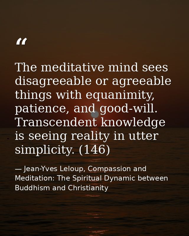 The meditative mind sees disagreeable or agreeable things with equanimity, patience, and good-will. Transcendent knowled — Jean-Yves Leloup, Compassion and Meditation: The Spiritual Dynamic between Buddhism and Christianity