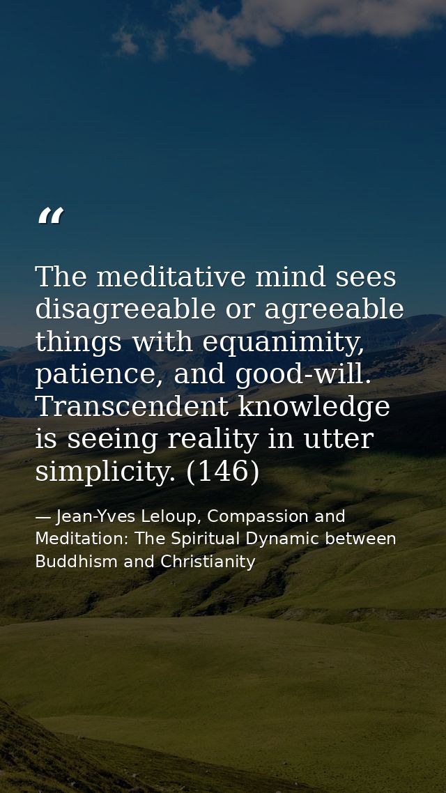 The meditative mind sees disagreeable or agreeable things with equanimity, patience, and good-will. Transcendent knowled — Jean-Yves Leloup, Compassion and Meditation: The Spiritual Dynamic between Buddhism and Christianity