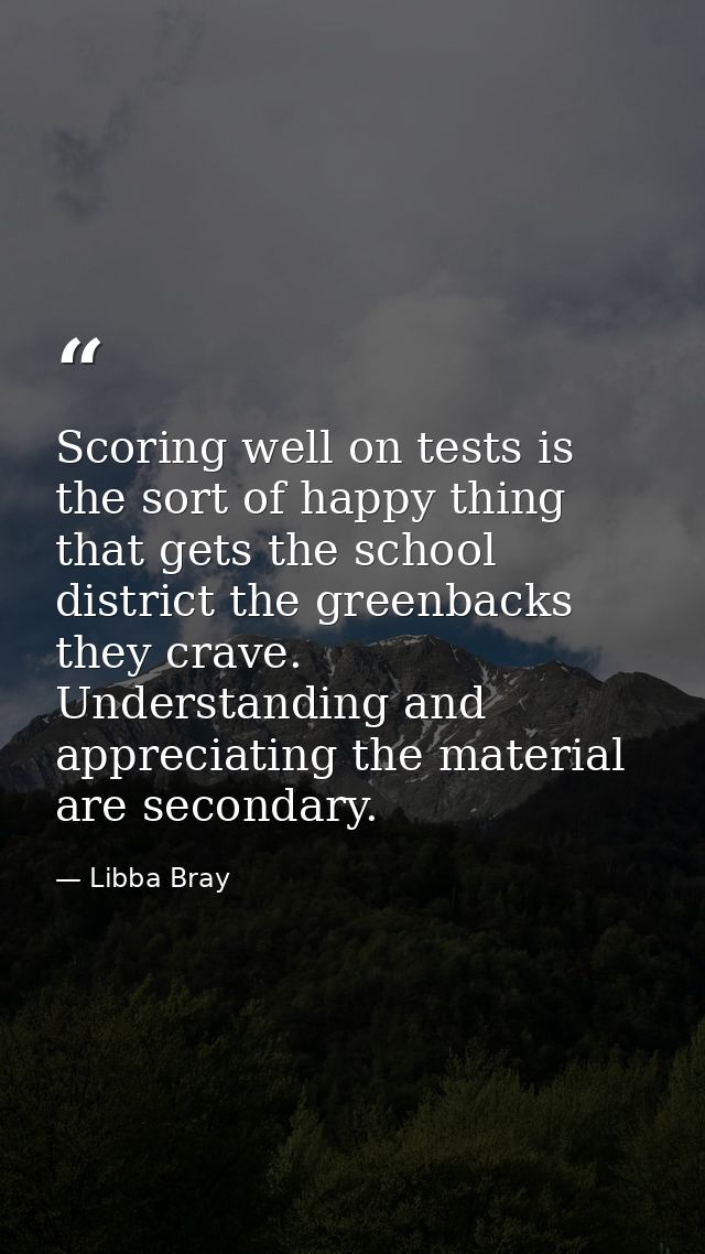 Scoring well on tests is the sort of happy thing that gets the school district the greenbacks they crave. Understanding  — Libba Bray