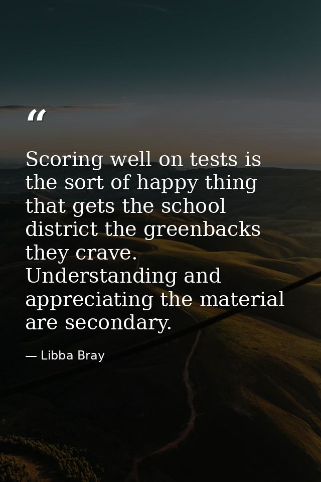 Scoring well on tests is the sort of happy thing that gets the school district the greenbacks they crave. Understanding  — Libba Bray