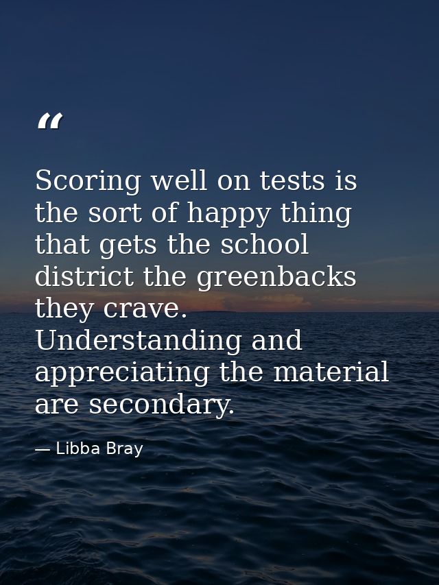 Scoring well on tests is the sort of happy thing that gets the school district the greenbacks they crave. Understanding  — Libba Bray