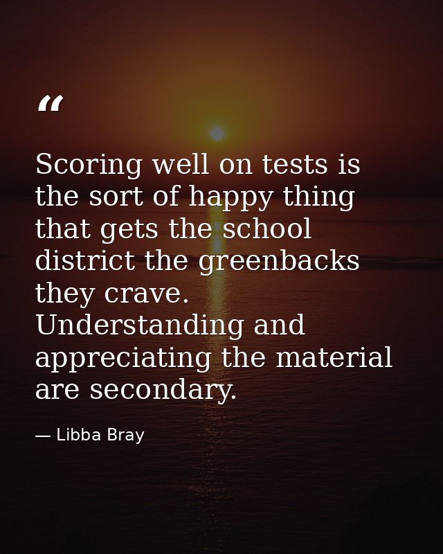 Scoring well on tests is the sort of happy thing that gets the school district the greenbacks they crave. Understanding  — Libba Bray