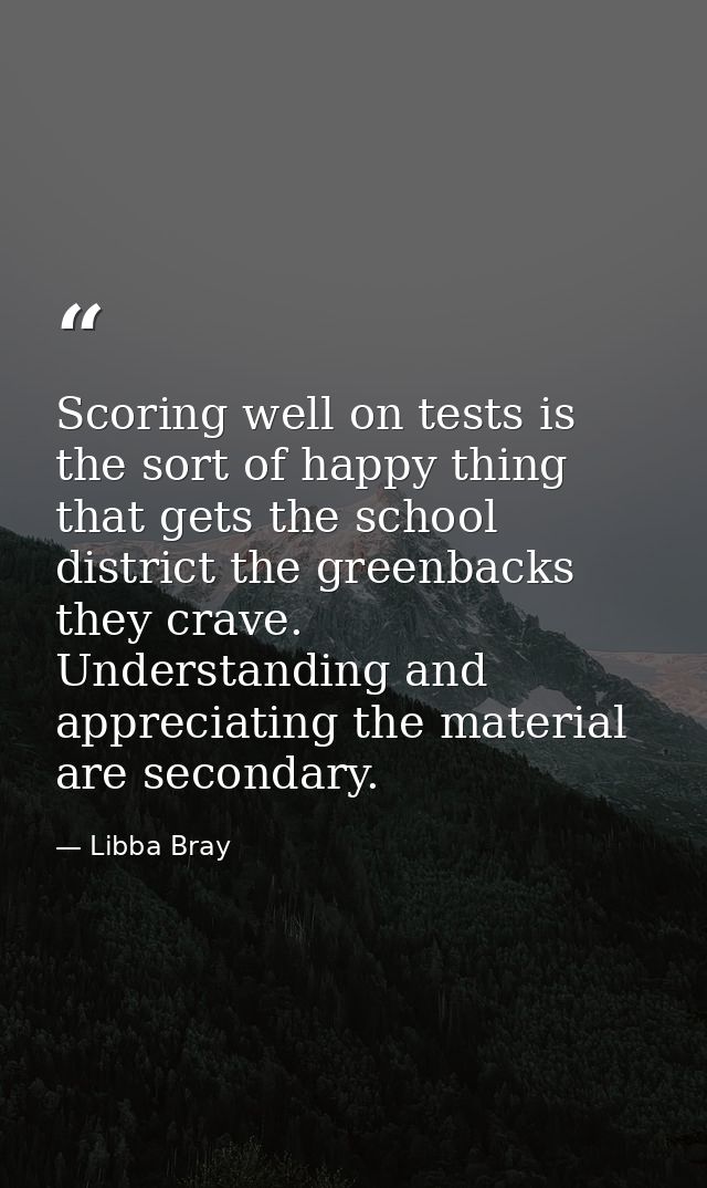Scoring well on tests is the sort of happy thing that gets the school district the greenbacks they crave. Understanding  — Libba Bray