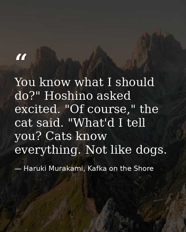 You know what I should do?" Hoshino asked excited. "Of course," the cat said. "What'd I tell you? Cats know everything.  — Haruki Murakami, Kafka on the Shore
