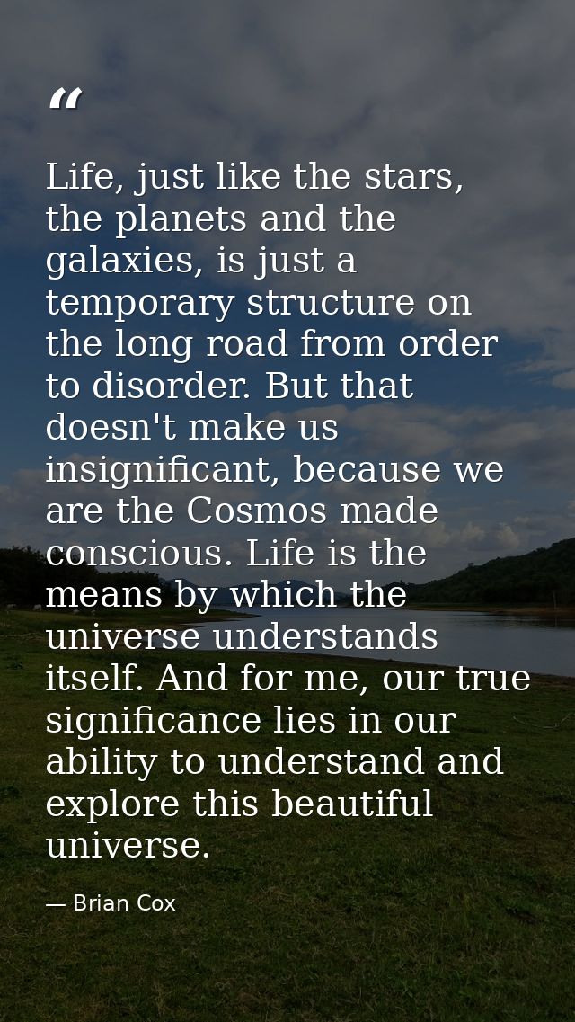 Life, just like the stars, the planets and the galaxies, is just a temporary structure on the long road from order to di — Brian Cox