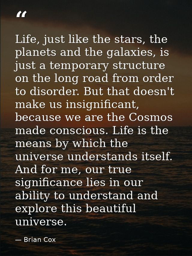 Life, just like the stars, the planets and the galaxies, is just a temporary structure on the long road from order to di — Brian Cox