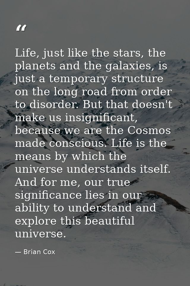 Life, just like the stars, the planets and the galaxies, is just a temporary structure on the long road from order to di — Brian Cox