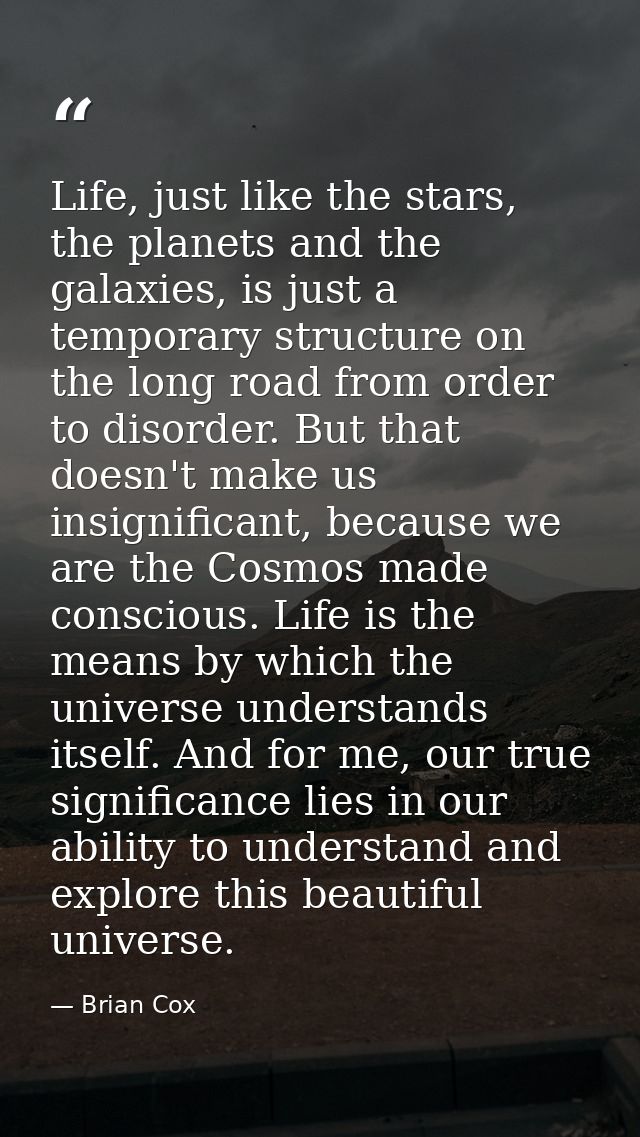 Life, just like the stars, the planets and the galaxies, is just a temporary structure on the long road from order to di — Brian Cox