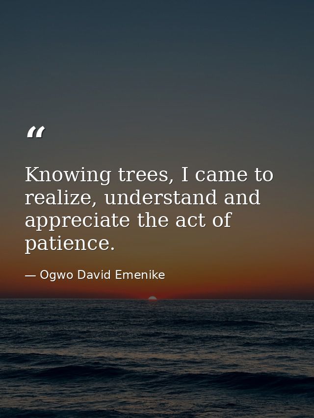 Knowing trees, I came to realize, understand and appreciate the act of patience. — Ogwo David Emenike
