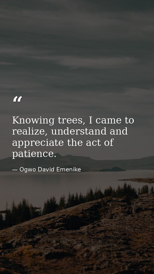 Knowing trees, I came to realize, understand and appreciate the act of patience. — Ogwo David Emenike