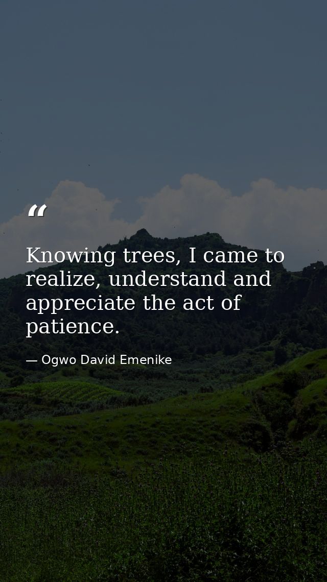 Knowing trees, I came to realize, understand and appreciate the act of patience. — Ogwo David Emenike