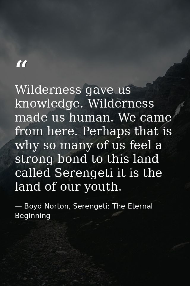 Wilderness gave us knowledge. Wilderness made us human. We came from here. Perhaps that is why so many of us feel a stro — Boyd Norton, Serengeti: The Eternal Beginning