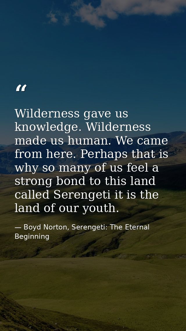 Wilderness gave us knowledge. Wilderness made us human. We came from here. Perhaps that is why so many of us feel a stro — Boyd Norton, Serengeti: The Eternal Beginning