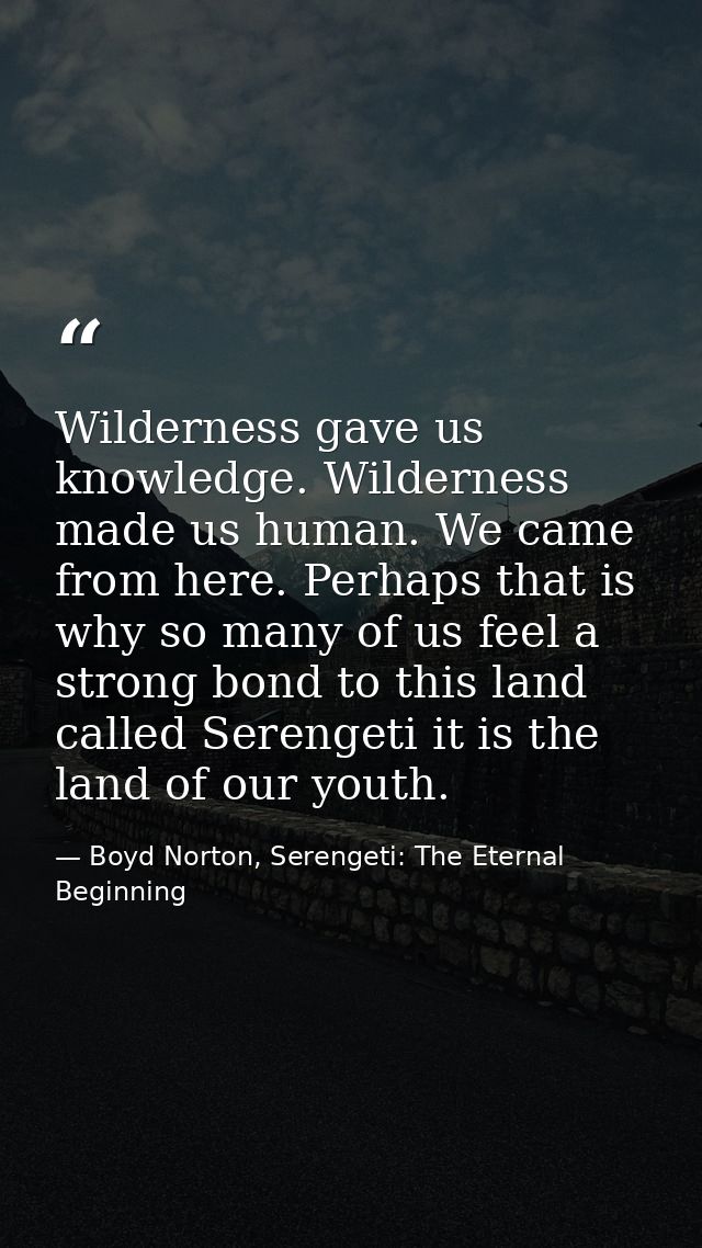 Wilderness gave us knowledge. Wilderness made us human. We came from here. Perhaps that is why so many of us feel a stro — Boyd Norton, Serengeti: The Eternal Beginning