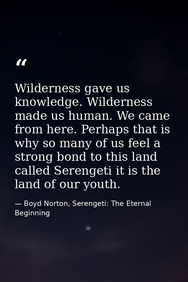 Wilderness gave us knowledge. Wilderness made us human. We came from here. Perhaps that is why so many of us feel a stro — Boyd Norton, Serengeti: The Eternal Beginning