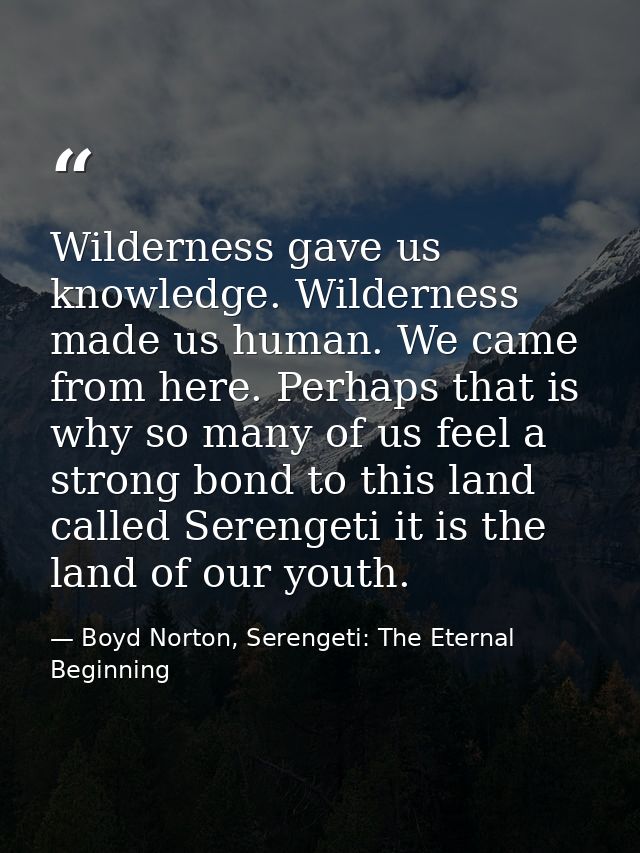 Wilderness gave us knowledge. Wilderness made us human. We came from here. Perhaps that is why so many of us feel a stro — Boyd Norton, Serengeti: The Eternal Beginning