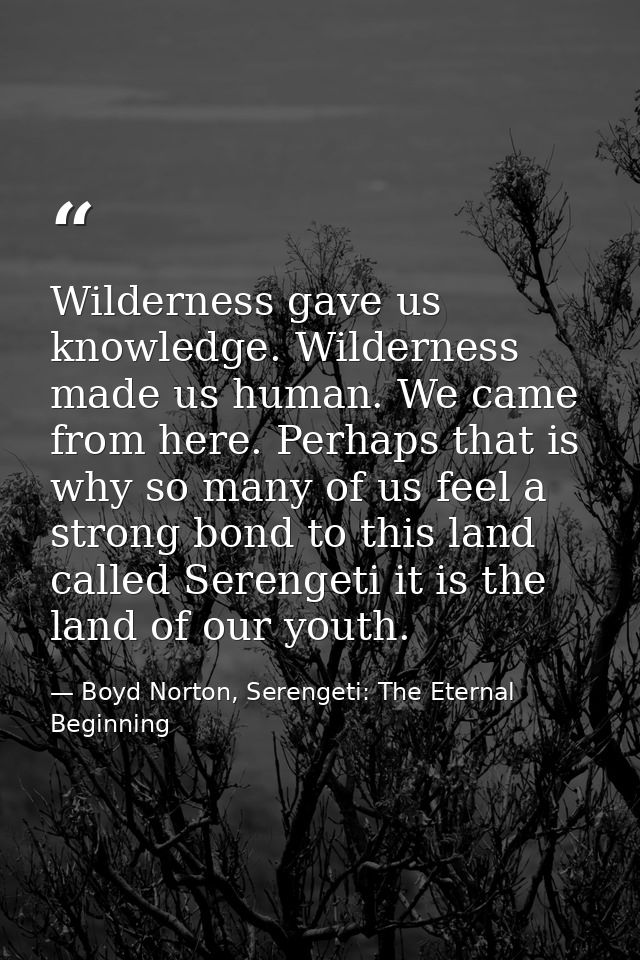 Wilderness gave us knowledge. Wilderness made us human. We came from here. Perhaps that is why so many of us feel a stro — Boyd Norton, Serengeti: The Eternal Beginning