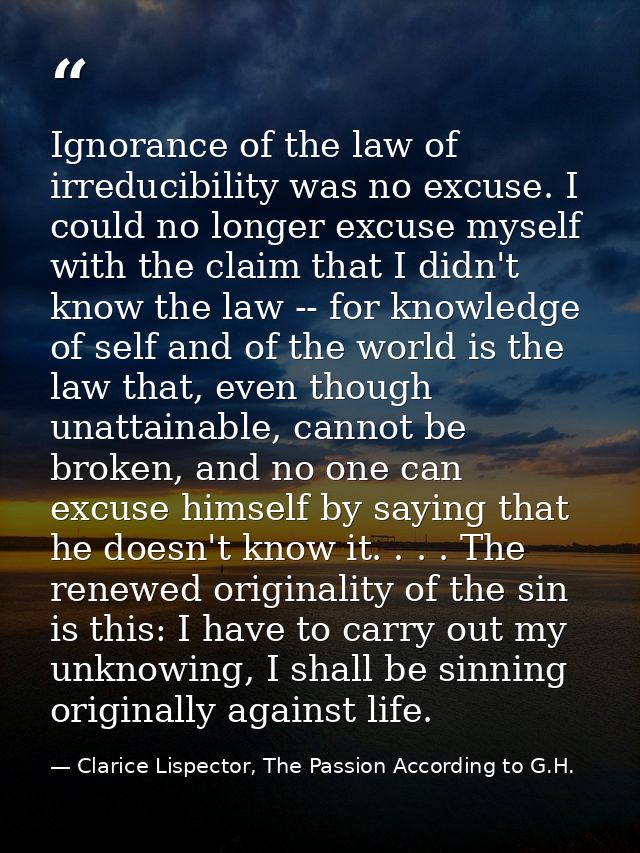 Ignorance of the law of irreducibility was no excuse. I could no longer excuse myself with the claim that I didn't know  — Clarice Lispector, The Passion According to G.H.