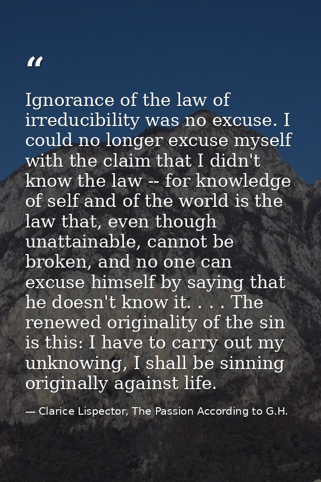 Ignorance of the law of irreducibility was no excuse. I could no longer excuse myself with the claim that I didn't know  — Clarice Lispector, The Passion According to G.H.