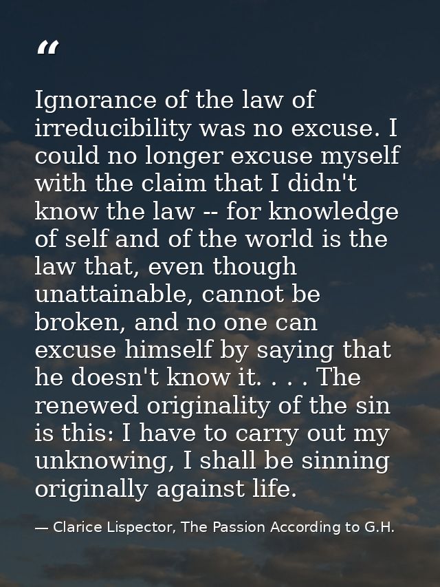 Ignorance of the law of irreducibility was no excuse. I could no longer excuse myself with the claim that I didn't know  — Clarice Lispector, The Passion According to G.H.