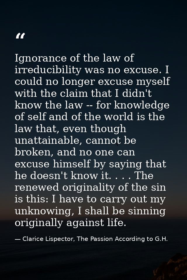 Ignorance of the law of irreducibility was no excuse. I could no longer excuse myself with the claim that I didn't know  — Clarice Lispector, The Passion According to G.H.