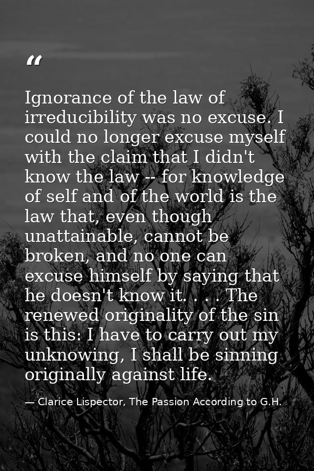 Ignorance of the law of irreducibility was no excuse. I could no longer excuse myself with the claim that I didn't know  — Clarice Lispector, The Passion According to G.H.