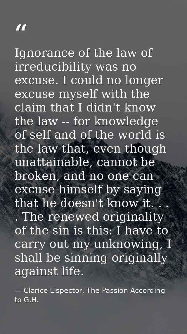 Ignorance of the law of irreducibility was no excuse. I could no longer excuse myself with the claim that I didn't know  — Clarice Lispector, The Passion According to G.H.
