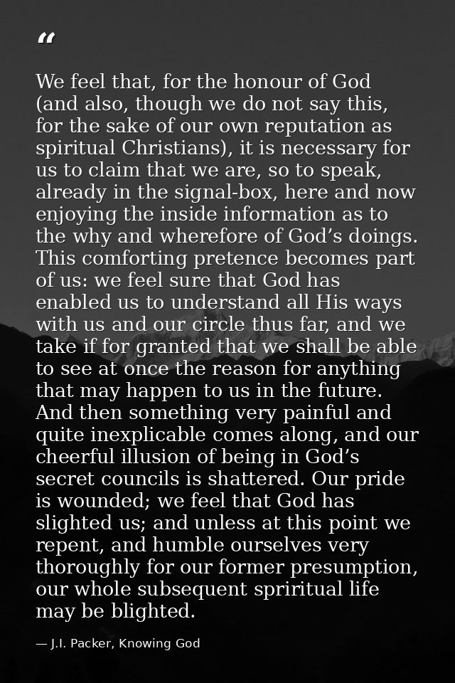 We feel that, for the honour of God (and also, though we do not say this, for the sake of our own reputation as spiritua — J.I. Packer, Knowing God