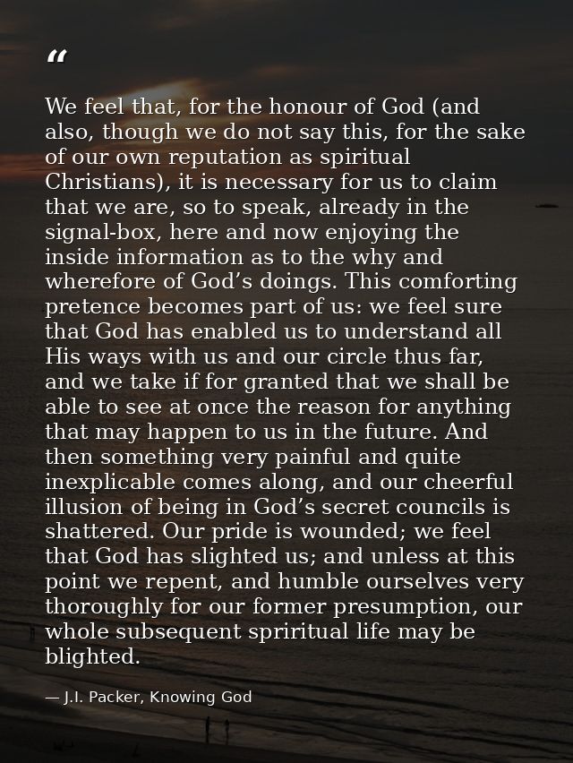 We feel that, for the honour of God (and also, though we do not say this, for the sake of our own reputation as spiritua — J.I. Packer, Knowing God