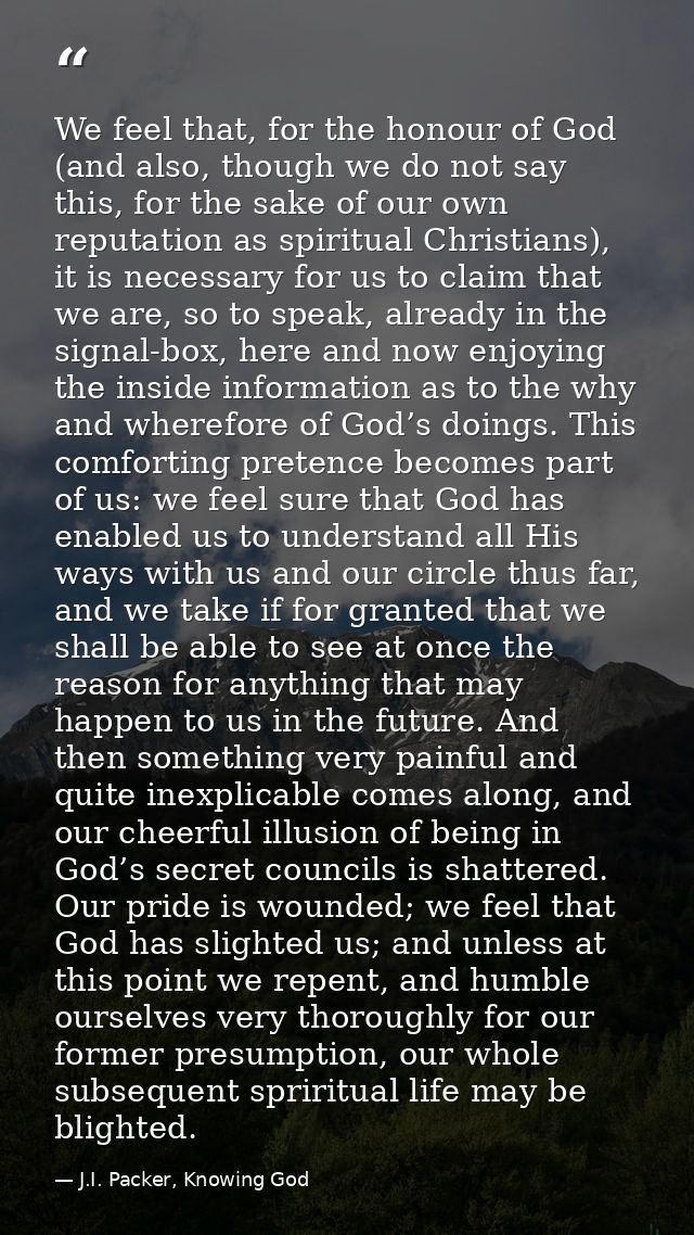 We feel that, for the honour of God (and also, though we do not say this, for the sake of our own reputation as spiritua — J.I. Packer, Knowing God