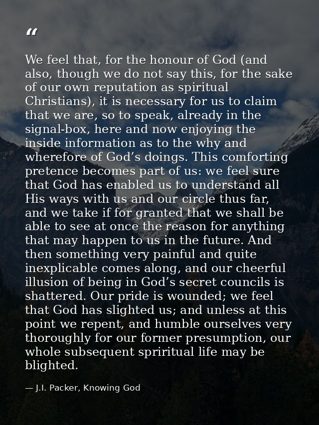 We feel that, for the honour of God (and also, though we do not say this, for the sake of our own reputation as spiritua — J.I. Packer, Knowing God