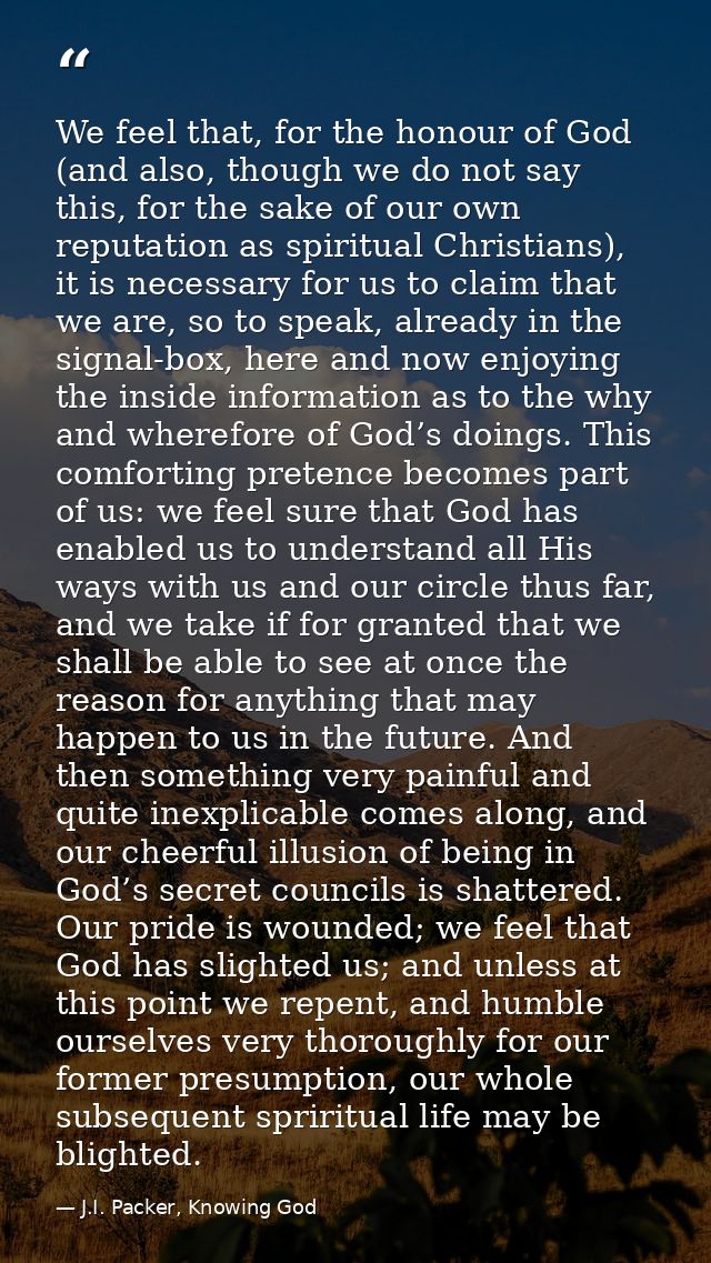 We feel that, for the honour of God (and also, though we do not say this, for the sake of our own reputation as spiritua — J.I. Packer, Knowing God