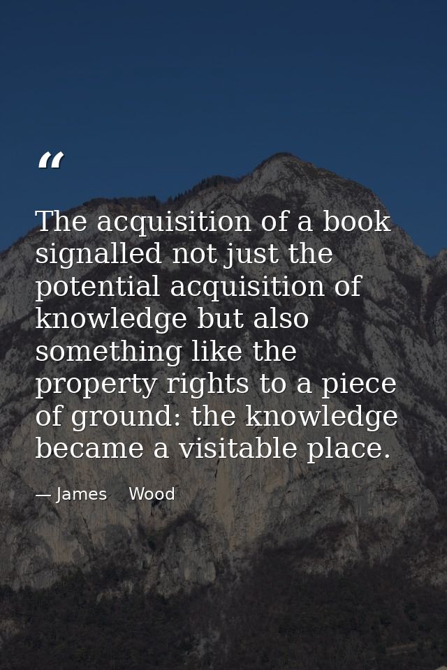 The acquisition of a book signalled not just the potential acquisition of knowledge but also something like the property — James    Wood