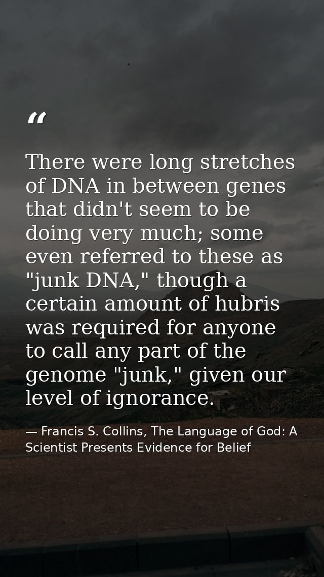 There were long stretches of DNA in between genes that didn't seem to be doing very much; some even referred to these as — Francis S. Collins, The Language of God: A Scientist Presents Evidence for Belief