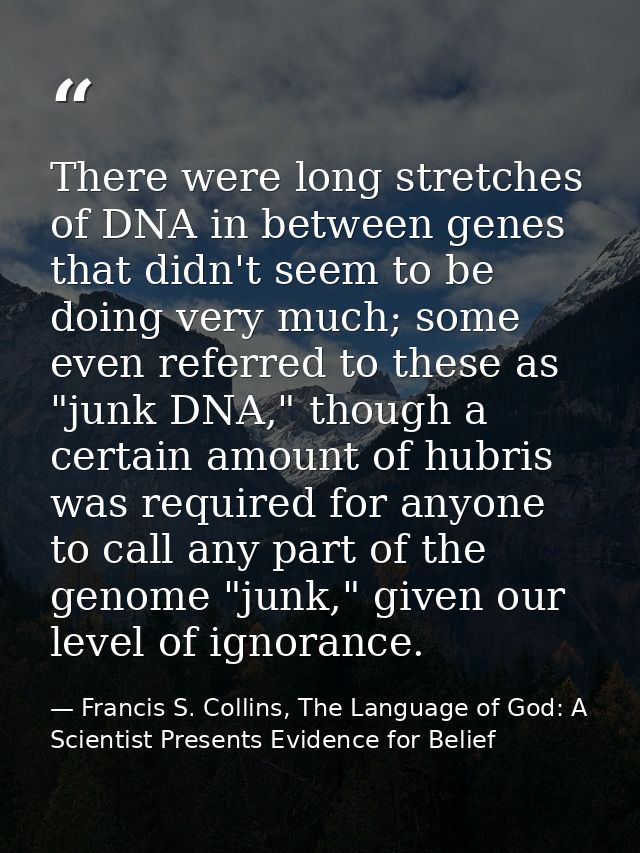 There were long stretches of DNA in between genes that didn't seem to be doing very much; some even referred to these as — Francis S. Collins, The Language of God: A Scientist Presents Evidence for Belief