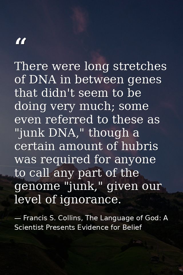 There were long stretches of DNA in between genes that didn't seem to be doing very much; some even referred to these as — Francis S. Collins, The Language of God: A Scientist Presents Evidence for Belief