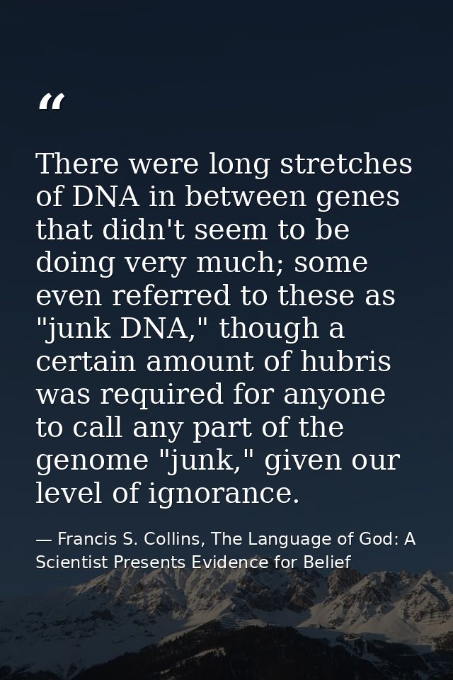 There were long stretches of DNA in between genes that didn't seem to be doing very much; some even referred to these as — Francis S. Collins, The Language of God: A Scientist Presents Evidence for Belief